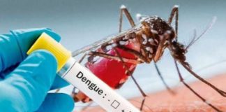 Dengue en el Perú: el Gobierno amplió el estado de emergencia sanitaria en 20 regiones por aumento de casos Dengue en el Perú