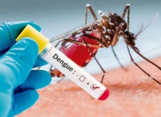 Dengue en el Perú: el Gobierno amplió el estado de emergencia sanitaria en 20 regiones por aumento de casos Dengue en el Perú