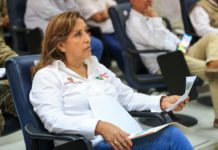 Dina Boluarte presenta proyecto para ejercer la Presidencia «de forma remota» en caso de viajes al extranjero Dina Boluarte