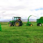 Gobierno Regional de Ayacucho impulsa producción de forraje para garantizar sostenibilidad ganadera Gobierno Regional de Ayacucho impulsa producción de forraje