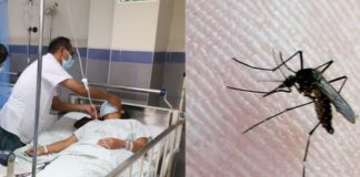 Ministra de Salud anuncia implementación de módulos hospitalarios ante el colapso por casos de dengue Ministra de Salud señaló que se han instalado siete módulos bastantes grandes en los diferentes hospitales de Lima