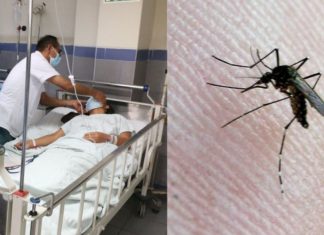 Ministra de Salud anuncia implementación de módulos hospitalarios ante el colapso por casos de dengue Ministra de Salud señaló que se han instalado siete módulos bastantes grandes en los diferentes hospitales de Lima